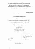 Барковский, Геннадий Францевич. Культурно-цивилизационные основания отечественной философии хозяйства: дис. доктор философских наук: 09.00.11 - Социальная философия. Санкт-Петербург. 2011. 336 с.