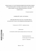 Навицкайте, Эдита Антоновна. Лингвистические средства создания образа исламской угрозы в англоязычном медиадискурсе: дис. кандидат филологических наук: 10.02.04 - Германские языки. Иркутск. 2012. 172 с.