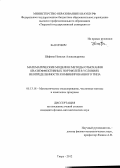 Шефова, Наталья Александровна. Математические модели и методы отыскания квазиэффективных портфелей в условиях неопределенности комбинированного типа: дис. кандидат физико-математических наук: 05.13.18 - Математическое моделирование, численные методы и комплексы программ. Тверь. 2012. 158 с.