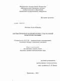 Левченко, Ольга Юрьевна. Математическое моделирование гуморальной иммунной реакции: дис. кандидат физико-математических наук: 05.13.18 - Математическое моделирование, численные методы и комплексы программ. Краснодар. 2011. 178 с.