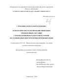 Стреблянская Наталья Васильевна. Математическое моделирование природных чрезвычайных ситуаций с наблюдаемыми параметрами на основе нестационарных персистентных временных рядов: дис. кандидат наук: 05.13.18 - Математическое моделирование, численные методы и комплексы программ. ФГАОУ ВО «Северо-Кавказский федеральный университет». 2019. 152 с.