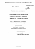 Сухинов, Антон Александрович. Математическое моделирование процессов переноса примесей в жидкостях и пористых средах: дис. кандидат физико-математических наук: 05.13.18 - Математическое моделирование, численные методы и комплексы программ. Москва. 2009. 154 с.