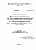 Борисова, Марфа Николаевна. Математическое моделирование волн тока и напряжения, индуцированных грозовыми разрядами в линиях передач в условиях многолетней мерзлоты: дис. кандидат физико-математических наук: 05.13.18 - Математическое моделирование, численные методы и комплексы программ. Якутск. 2011. 108 с.
