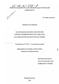 Лапшина, Ольга Юрьевна. Материально-бытовое обеспечение рабочих промышленности в годы нэпа: На материалах Нижегородской и Вятской губерний: дис. кандидат исторических наук: 07.00.02 - Отечественная история. Нижний Новгород. 2002. 382 с.