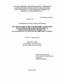 Сосновская, Анна Александровна. Метафоризация в сфере "Новейшие техногенно опосредованные информационные и коммуникационные процессы": на материале русского и английского сленга: дис. кандидат филологических наук: 10.02.19 - Теория языка. Саратов. 2011. 287 с.