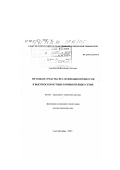 Заборовский, Владимир Сергеевич. Методы и средства исследования процессов в высокоскоростных компьютерных сетях: дис. доктор технических наук: 05.13.01 - Системный анализ, управление и обработка информации (по отраслям). Санкт-Петербург. 1999. 276 с.