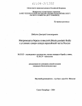 Шабунин, Дмитрий Александрович. Микромицеты березы повислой (Betula pendula Roth) в условиях Северо-Запада Европейской части России: дис. кандидат биологических наук: 06.03.03 - Лесоведение и лесоводство, лесные пожары и борьба с ними. Санкт-Петербург. 2004. 141 с.