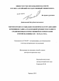 Дашковский, Петр Константинович. Мировоззрение и социально-политическая организация кочевников Саяно-Алтая поздней древности и раннего средневековья в отечественной историографии второй половины XIX - начала XXI в.: дис. доктор исторических наук: 07.00.09 - Историография, источниковедение и методы исторического исследования. Барнаул. 2010. 663 с.