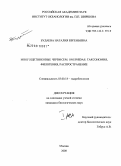 Будаева, Наталия Евгеньевна. Многощетинковые черви сем. Onuphidae: таксономия, филогения, распространение: дис. кандидат биологических наук: 03.00.18 - Гидробиология. Москва. 2008. 394 с.