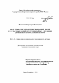 Шидловский, Григорий Леонидович. Моделирование управления эвакуацией людей из культовых зданий при чрезвычайных ситуациях: на примере Православных храмов: дис. кандидат технических наук: 05.13.10 - Управление в социальных и экономических системах. Санкт-Петербург. 2013. 145 с.