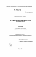 Насибуллин, Рустем Равилевич. Молодежь в социальном пространстве крупного города: дис. кандидат социологических наук: 22.00.04 - Социальная структура, социальные институты и процессы. Уфа. 2007. 130 с.
