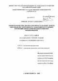 Шевцов, Артем Рашидович. Морфологические преобразования в селезенке крысы при синдроме длительного сдавления и в условиях коррекции биофлавоноидами манжетки обыкновенной: дис. кандидат медицинских наук: 14.00.15 - Патологическая анатомия. Новосибирск. 2008. 166 с.