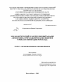 Сергеевичев, Давид Сергеевич. Морфологический и молекулярный анализ ангиогенеза при моделировании ишемии и реваскуляризации миокарда: дис. кандидат биологических наук: 03.00.25 - Гистология, цитология, клеточная биология. Новосибирск. 2009. 102 с.