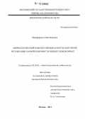 Никифорова, Алёна Игоревна. Морфологический и молекулярный аспекты повторной регенерации парной конечности низших позвоночных: дис. кандидат биологических наук: 03.03.05 - Биология развития, эмбриология. Москва. 2012. 138 с.