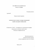 Пищулов, Сергей Андреевич. Морфология и генезис соровых понижений Северо-Западного Прикаспия: дис. кандидат наук: 25.00.25 - Геоморфология и эволюционная география. Москва. 2013. 160 с.