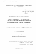 Добрынина, Ирина Васильевна. Морфология и гистохимия соединительной ткани стенки тонкой кишки в эмбриогенезе: дис. кандидат биологических наук: 16.00.02 - Патология, онкология и морфология животных. Саранск. 1999. 226 с.