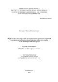 Клименко Максим Владимирович. Морфология и интерпретация пространственно-временных вариаций ионосферных параметров в спокойных условиях и во время возмущений различной природы: дис. доктор наук: 00.00.00 - Другие cпециальности. ФГБОУ ВО «Санкт-Петербургский государственный университет». 2022. 86 с.