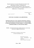 Фоменко, Людмила Владимировна. Морфология костей, мышц плечевого пояса, их артериальная и венозная васкуляризация у птиц из отрядов курообразные, гусеобразные, совообразные и соколообразные: дис. доктор ветеринарных наук: 06.02.01 - Разведение, селекция, генетика и воспроизводство сельскохозяйственных животных. Омск. 2012. 423 с.