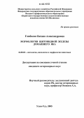 Гомбоева, Оксана Александровна. Морфология щитовидной железы домашнего яка: дис. кандидат ветеринарных наук: 16.00.01 - Диагностика болезней и терапия животных. Улан-Удэ. 2005. 100 с.