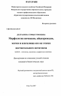 Долганова, Софья Гомоевна. Морфология яичников, яйцепроводов, матки и влагалища коз на этапах постнатального онтогенеза: дис. кандидат биологических наук: 16.00.02 - Патология, онкология и морфология животных. Улан-Удэ. 2007. 106 с.