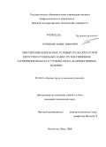 Терешкин, Борис Юрьевич. ОБЕСПЕЧЕНИЕ БЕЗОПАСНЫХ УСЛОВИЙ ТРУДА ОПЕРАТОРОВ ОКРАСОЧНО-СУШИЛЬНЫХ КАМЕР, ПУТЕМ СНИЖЕНИЯ ЗАГРЯЗНЕНИЯ ВОЗДУХА И УРОВНЕЙ ШУМА ДО НОРМАТИВНЫХ ВЕЛИЧИН.: дис. кандидат технических наук: 05.26.01 - Охрана труда (по отраслям). Ростов-на-Дону. 2008. 125 с.