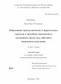 Исаев, Иван Леонидович. Образование кристаллических и фрактальных структур в ансамблях наночастиц и плазменных средах под действием оптического излучения: дис. кандидат физико-математических наук: 01.04.05 - Оптика. Красноярск. 2011. 174 с.