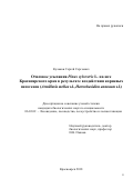 Кулаков Сергей Сергеевич. Очаговое усыхание Pinus sylvestris L. на юге Красноярского края в результате воздействия корневых патогенов (Armillaria mellea s.l., Heterobasidion annosum s.l.): дис. кандидат наук: 06.03.02 - Лесоустройство и лесная таксация. ФГБНУ «Федеральный исследовательский центр «Красноярский научный центр Сибирского отделения Российской академии наук». 2018. 140 с.