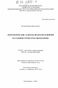 Вольф, Марина Николаевна. Онтологические аспекты иранских влияний на раннюю греческую философию: дис. кандидат философских наук: 09.00.01 - Онтология и теория познания. Новосибирск. 2003. 214 с.