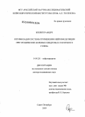 Зеелигер, Андре. Оптимизация системы применения нейромодуляции при хронических болевых синдромах различного ненеза: дис. доктор медицинских наук: 14.00.28 - Нейрохирургия. Санкт-Петербург. 2009. 431 с.
