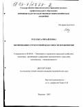 Гоз, Ольга Михайловна. Оптимизация структурной целостности предприятия: дис. кандидат экономических наук: 08.00.05 - Экономика и управление народным хозяйством: теория управления экономическими системами; макроэкономика; экономика, организация и управление предприятиями, отраслями, комплексами; управление инновациями; региональная экономика; логистика; экономика труда. Воронеж. 2003. 196 с.