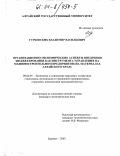 Гурьевских, Владимир Васильевич. Организационно-экономические аспекты внедрения бюджетирования как инструмента управления на машиностроительном предприятии: На материалах Алтайского края: дис. кандидат экономических наук: 08.00.05 - Экономика и управление народным хозяйством: теория управления экономическими системами; макроэкономика; экономика, организация и управление предприятиями, отраслями, комплексами; управление инновациями; региональная экономика; логистика; экономика труда. Барнаул. 2003. 173 с.