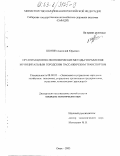 Шонин, Анатолий Юрьевич. Организационно-экономические методы управления муниципальным городским пассажирским транспортом: дис. кандидат экономических наук: 08.00.05 - Экономика и управление народным хозяйством: теория управления экономическими системами; макроэкономика; экономика, организация и управление предприятиями, отраслями, комплексами; управление инновациями; региональная экономика; логистика; экономика труда. Омск. 2003. 155 с.