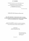 Кожамуратов, Нышанали Жадилович. Организационно-экономические основы технического и технологического оснащения ферм по производству говядины: дис. кандидат экономических наук: 08.00.05 - Экономика и управление народным хозяйством: теория управления экономическими системами; макроэкономика; экономика, организация и управление предприятиями, отраслями, комплексами; управление инновациями; региональная экономика; логистика; экономика труда. Москва. 2012. 138 с.