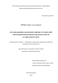 Борзых, Лариса Александровна. Организационно-экономический инструментарий обеспечения экономической безопасности в социальной сфере: дис. кандидат наук: 08.00.05 - Экономика и управление народным хозяйством: теория управления экономическими системами; макроэкономика; экономика, организация и управление предприятиями, отраслями, комплексами; управление инновациями; региональная экономика; логистика; экономика труда. Санкт-Петербург. 2016. 206 с.
