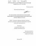 Путивский, Сергей Николаевич. Организационно-экономическое обеспечение эффективности функционирования интегрированных корпоративных структур: дис. кандидат экономических наук: 08.00.05 - Экономика и управление народным хозяйством: теория управления экономическими системами; макроэкономика; экономика, организация и управление предприятиями, отраслями, комплексами; управление инновациями; региональная экономика; логистика; экономика труда. Белгород. 2005. 202 с.