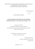 Загора Ирина Петровна. ОРГАНИЗАЦИОННО-МЕТОДИЧЕСКОЕ ОБЕСПЕЧЕНИЕ ФОРМИРОВАНИЯ КЛАСТЕРА ОБРАЗОВАТЕЛЬНЫХ УСЛУГ: дис. кандидат наук: 08.00.05 - Экономика и управление народным хозяйством: теория управления экономическими системами; макроэкономика; экономика, организация и управление предприятиями, отраслями, комплексами; управление инновациями; региональная экономика; логистика; экономика труда. ФГАОУ ВО «Сибирский федеральный университет». 2016. 184 с.