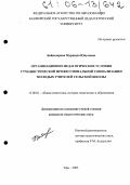 Байназарова, Муршида Юнусовна. Организационно-педагогические условия гуманистической профессиональной социализации молодых учителей сельской школы: дис. кандидат педагогических наук: 13.00.01 - Общая педагогика, история педагогики и образования. Уфа. 2005. 209 с.