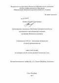 Клямко, Андрей Станиславович. Организационно-техническое обеспечение конкурентоспособности железорудной горнодобывающей компании: на примере Яковлевского рудника: дис. кандидат наук: 05.02.22 - Организация производства (по отраслям). Санкт-Петербург. 2013. 191 с.