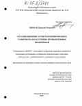 Бирман, Дмитрий Петрович. Организационные аспекты формирования и развития малых и средних промышленных предприятий: дис. кандидат экономических наук: 08.00.05 - Экономика и управление народным хозяйством: теория управления экономическими системами; макроэкономика; экономика, организация и управление предприятиями, отраслями, комплексами; управление инновациями; региональная экономика; логистика; экономика труда. Нижний Новгород. 2005. 173 с.