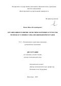 Попов Павел Владимирович. Организация и развитие логистической инфраструктуры региона в условиях глобализации цепей поставок: дис. доктор наук: 00.00.00 - Другие cпециальности. «Волгоградский государственный университет». 2025. 315 с.