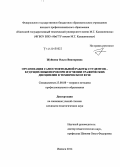 Жуйкова, Ольга Викторовна. Организация самостоятельной работы студентов-будущих инженеров при изучении графических дисциплин в техническом вузе: дис. кандидат наук: 13.00.08 - Теория и методика профессионального образования. Ижевск. 2014. 253 с.