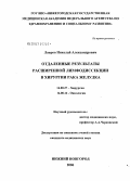 Лавров, Николай Александрович. Отдаленные результаты расширенной лимфодиссекции в хирургии рака желудка: дис. кандидат медицинских наук: 14.00.27 - Хирургия. Нижний Новгород. 2006. 237 с.