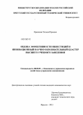 Красикова, Татьяна Юрьевна. Оценка эффективности инвестиций в инновационной научно-образовательный кластер высшего учебного заведения: дис. кандидат экономических наук: 08.00.05 - Экономика и управление народным хозяйством: теория управления экономическими системами; макроэкономика; экономика, организация и управление предприятиями, отраслями, комплексами; управление инновациями; региональная экономика; логистика; экономика труда. Иркутск. 2013. 155 с.