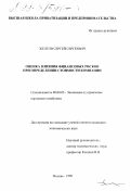 Дипломная работа: Оценка влияния финансового риска на эффективность инвестиционного проекта на примере ОАО Тайфун