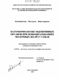 Клейменова, Наталья Викторовна. Патоморфология эндокринных органов при новообразованиях молочных желез у собак: дис. кандидат ветеринарных наук: 16.00.02 - Патология, онкология и морфология животных. Санкт-Петербург. 2004. 133 с.