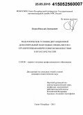 Попов, Николай Леонидович. Педагогические условия дистанционной дополнительной подготовки специалистов с ограниченными физическими возможностями в вузах МЧС России: дис. кандидат наук: 13.00.08 - Теория и методика профессионального образования. Санкт-Петербург. 2015. 183 с.