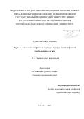 Руднев Александр Игоревич. Периоперационная верификация глубокой перипротезной инфекции тазобедренного сустава: дис. кандидат наук: 00.00.00 - Другие cпециальности. ФГАОУ ВО Первый Московский государственный медицинский университет имени И.М. Сеченова Министерства здравоохранения Российской Федерации (Сеченовский Университет). 2025. 208 с.