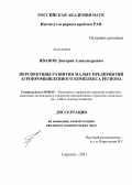 Иванов, Дмитрий Александрович. Перспективы развития малых предприятий агропромышленного комплекса региона: дис. кандидат экономических наук: 08.00.05 - Экономика и управление народным хозяйством: теория управления экономическими системами; макроэкономика; экономика, организация и управление предприятиями, отраслями, комплексами; управление инновациями; региональная экономика; логистика; экономика труда. Саратов. 2011. 186 с.