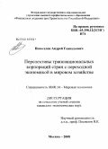 Новоселов, Андрей Геннадьевич. Перспективы транснациональных корпораций стран с переходной экономикой в мировом хозяйстве: дис. кандидат экономических наук: 08.00.14 - Мировая экономика. Москва. 2008. 172 с.