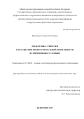 Васильчук, Галина Талгатовна. Подготовка учителей к реализации профессиональной деятельности в современных условиях: дис. кандидат наук: 13.00.08 - Теория и методика профессионального образования. Кемерово. 2017. 244 с.